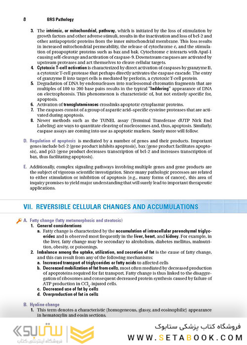 BRS Pathology (Board Review Series) Fifth, North American Edition