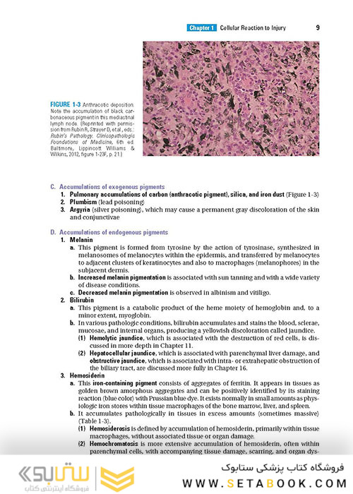 BRS Pathology (Board Review Series) Fifth, North American Edition