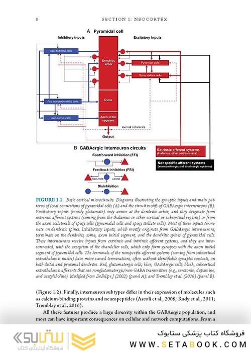 راهنمای میکروسکوپ های مغزی  2018 Handbook of Brain Microcircuits 2nd Edition