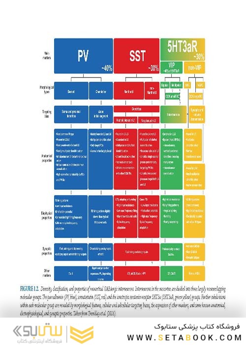 راهنمای میکروسکوپ های مغزی  2018 Handbook of Brain Microcircuits 2nd Edition