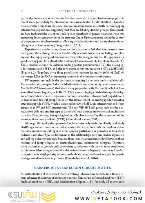 راهنمای میکروسکوپ های مغزی  2018 Handbook of Brain Microcircuits 2nd Edition