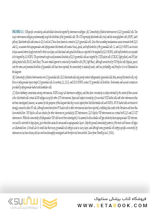 راهنمای میکروسکوپ های مغزی  2018 Handbook of Brain Microcircuits 2nd Edition