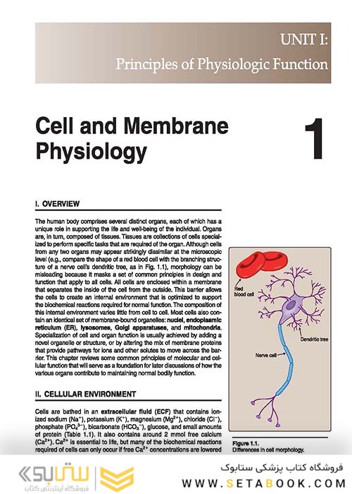 Lippincott® Illustrated Reviews: Physiology (Lippincott Illustrated Reviews Series) 2019 Second, North American Edition لیپینکات فیزیولوژی 2019
