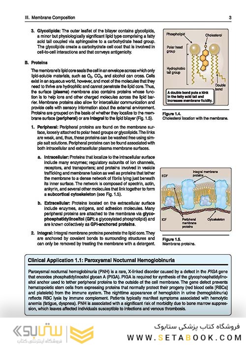 Lippincott® Illustrated Reviews: Physiology (Lippincott Illustrated Reviews Series) 2019 Second, North American Edition لیپینکات فیزیولوژی 2019