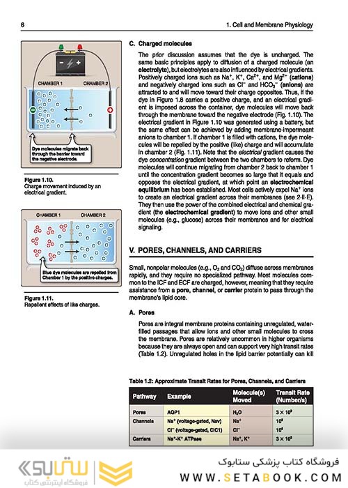 Lippincott® Illustrated Reviews: Physiology (Lippincott Illustrated Reviews Series) 2019 Second, North American Edition لیپینکات فیزیولوژی 2019