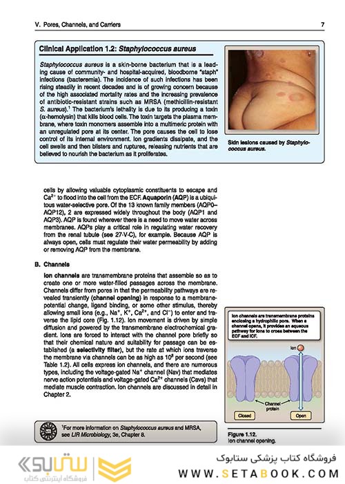 Lippincott® Illustrated Reviews: Physiology (Lippincott Illustrated Reviews Series) 2019 Second, North American Edition لیپینکات فیزیولوژی 2019