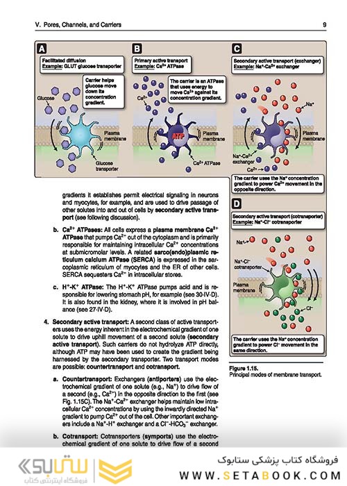 Lippincott® Illustrated Reviews: Physiology (Lippincott Illustrated Reviews Series) 2019 Second, North American Edition لیپینکات فیزیولوژی 2019