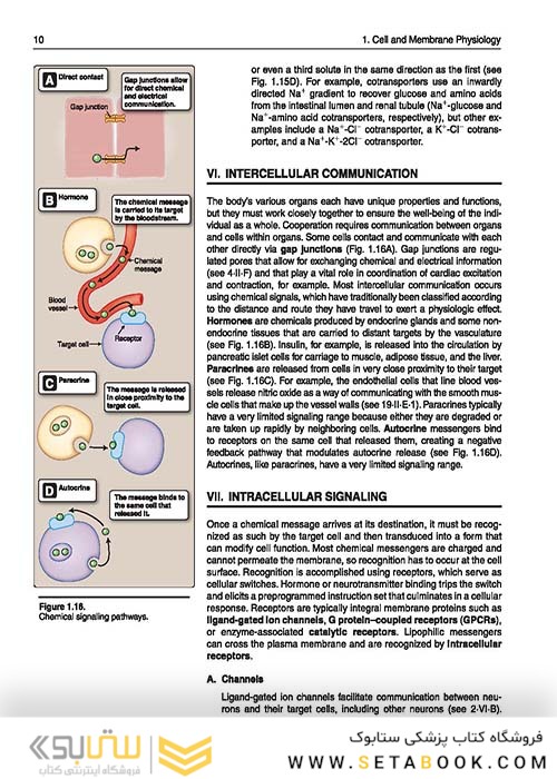 Lippincott® Illustrated Reviews: Physiology (Lippincott Illustrated Reviews Series) 2019 Second, North American Edition لیپینکات فیزیولوژی 2019