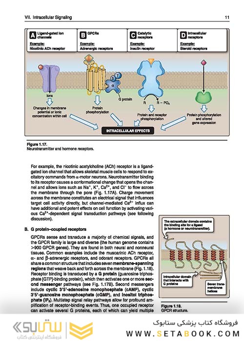 Lippincott® Illustrated Reviews: Physiology (Lippincott Illustrated Reviews Series) 2019 Second, North American Edition لیپینکات فیزیولوژی 2019