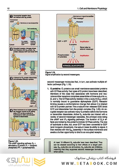 Lippincott® Illustrated Reviews: Physiology (Lippincott Illustrated Reviews Series) 2019 Second, North American Edition لیپینکات فیزیولوژی 2019