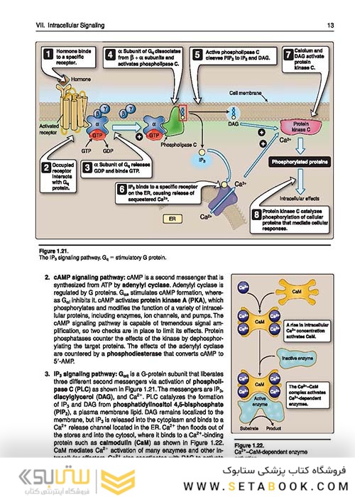 Lippincott® Illustrated Reviews: Physiology (Lippincott Illustrated Reviews Series) 2019 Second, North American Edition لیپینکات فیزیولوژی 2019