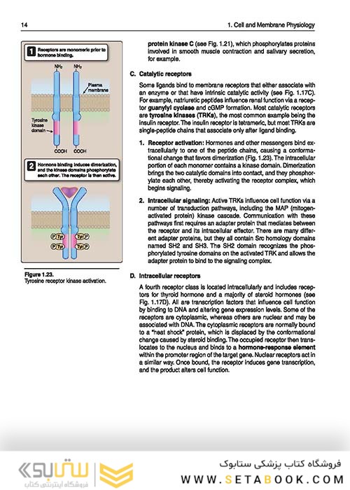 Lippincott® Illustrated Reviews: Physiology (Lippincott Illustrated Reviews Series) 2019 Second, North American Edition لیپینکات فیزیولوژی 2019