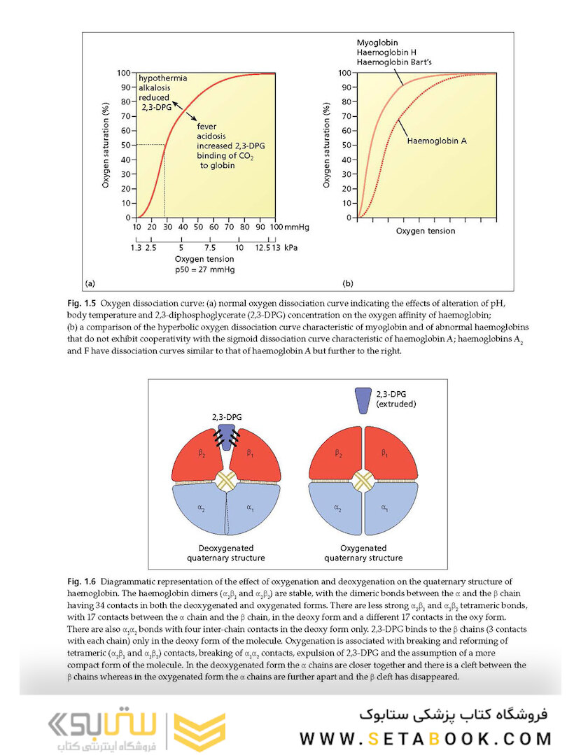Haemoglobinopathy-Diagnosis-3rd-Edition