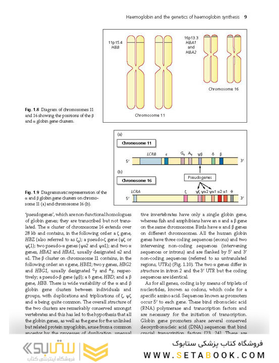 Haemoglobinopathy-Diagnosis-3rd-Edition