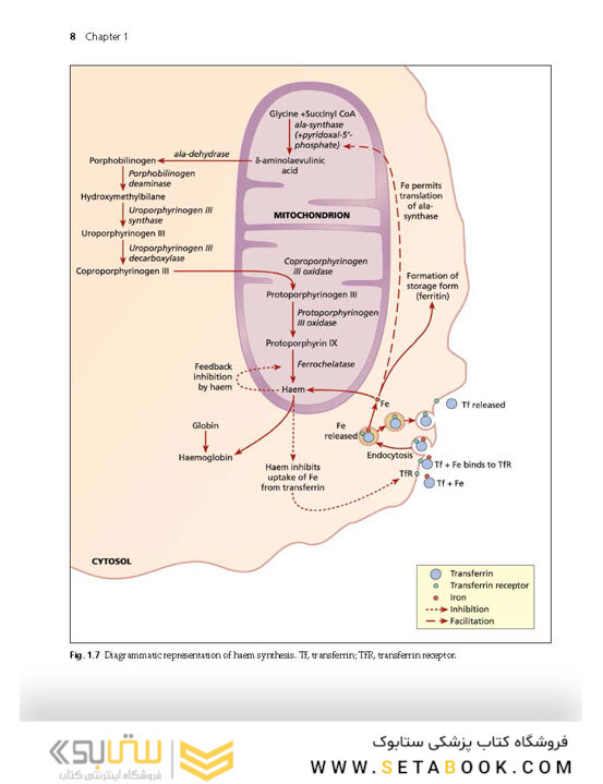 Haemoglobinopathy-Diagnosis-3rd-Edition