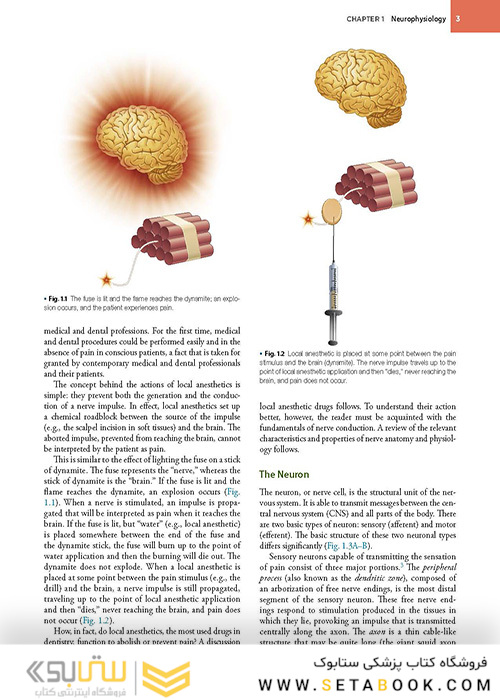 Handbook of Local Anesthesia 7th ed. Edition 2020 کتاب راهنمای بی حسی موضعی