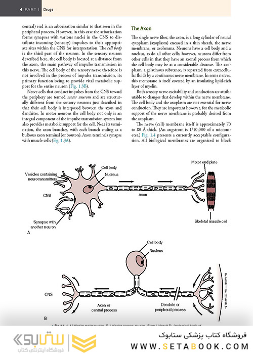 Handbook of Local Anesthesia 7th ed. Edition 2020 کتاب راهنمای بی حسی موضعی