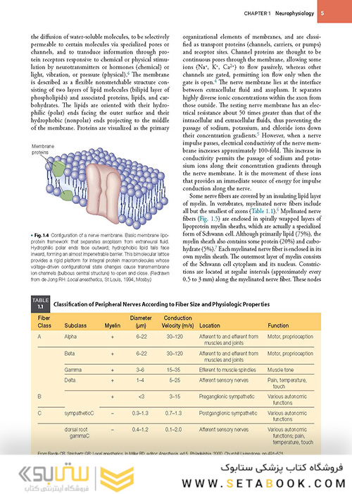 Handbook of Local Anesthesia 7th ed. Edition 2020 کتاب راهنمای بی حسی موضعی