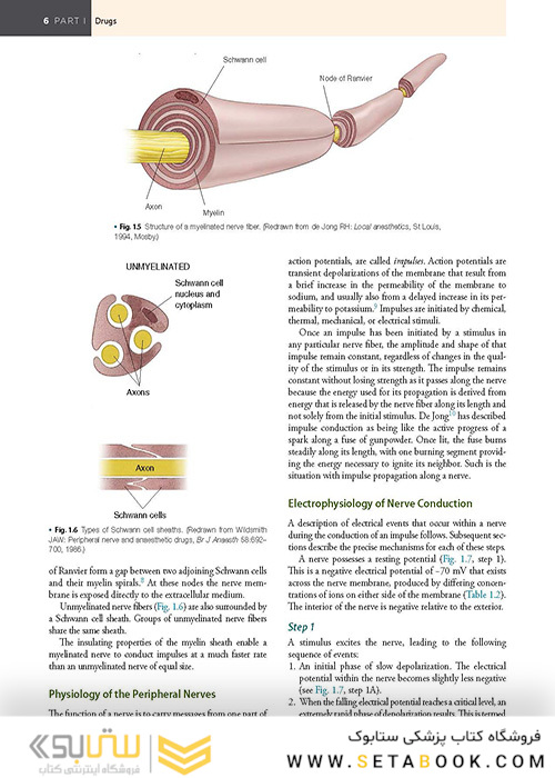 Handbook of Local Anesthesia 7th ed. Edition 2020 کتاب راهنمای بی حسی موضعی