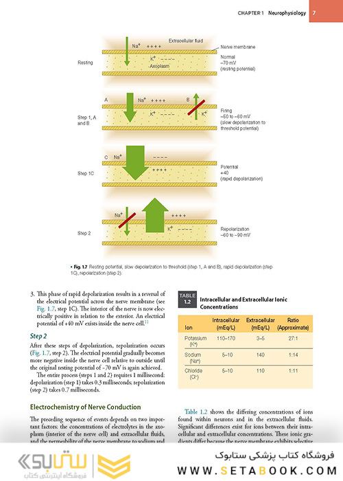 Handbook of Local Anesthesia 7th ed. Edition 2020 کتاب راهنمای بی حسی موضعی