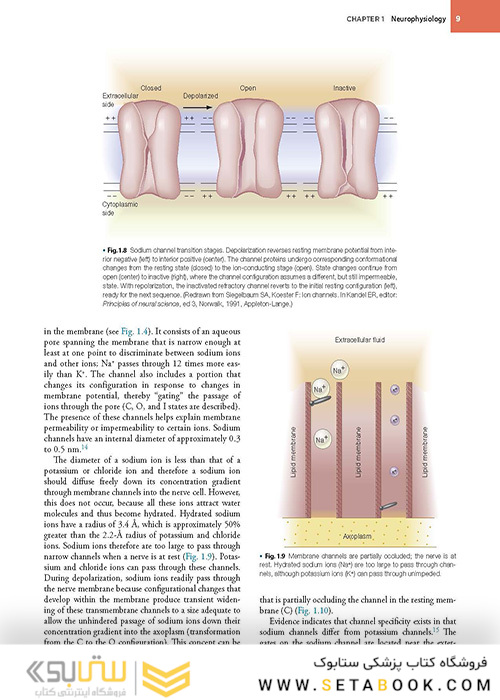 Handbook of Local Anesthesia 7th ed. Edition 2020 کتاب راهنمای بی حسی موضعی