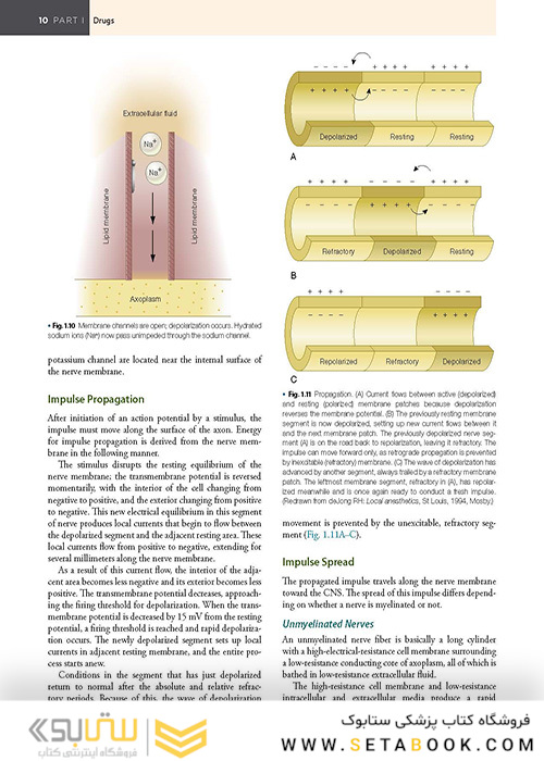 Handbook of Local Anesthesia 7th ed. Edition 2020 کتاب راهنمای بی حسی موضعی