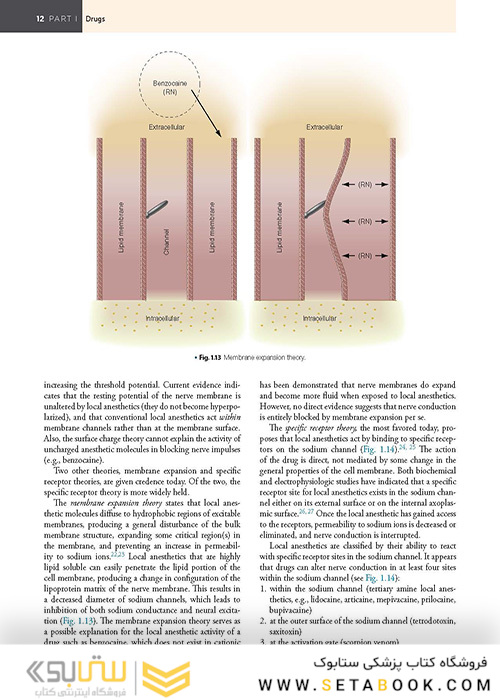 Handbook of Local Anesthesia 7th ed. Edition 2020 کتاب راهنمای بی حسی موضعی