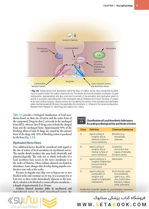 Handbook of Local Anesthesia 7th ed. Edition 2020 کتاب راهنمای بی حسی موضعی