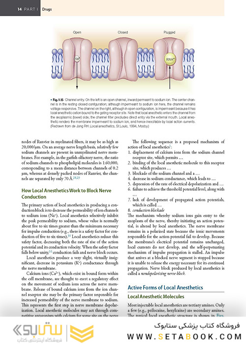 Handbook of Local Anesthesia 7th ed. Edition 2020 کتاب راهنمای بی حسی موضعی