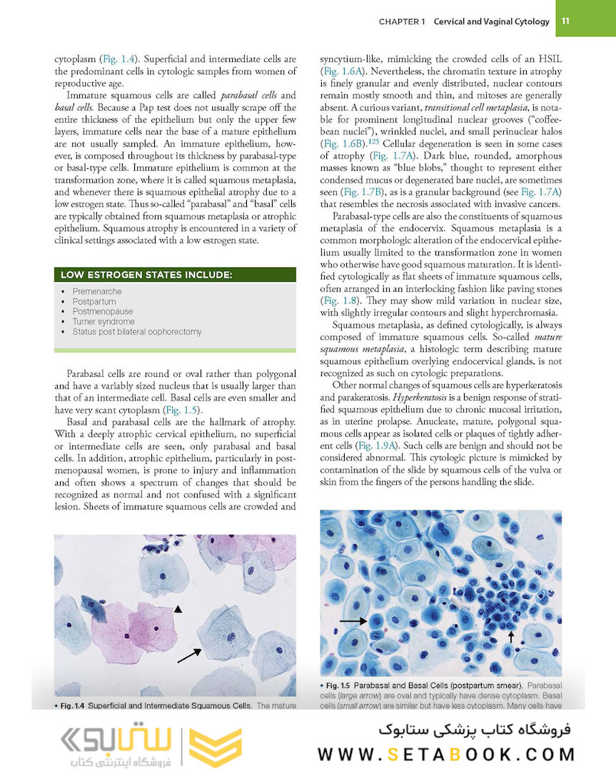 2021 Cytology: Diagnostic Principles and Clinical Correlates 5th Edition