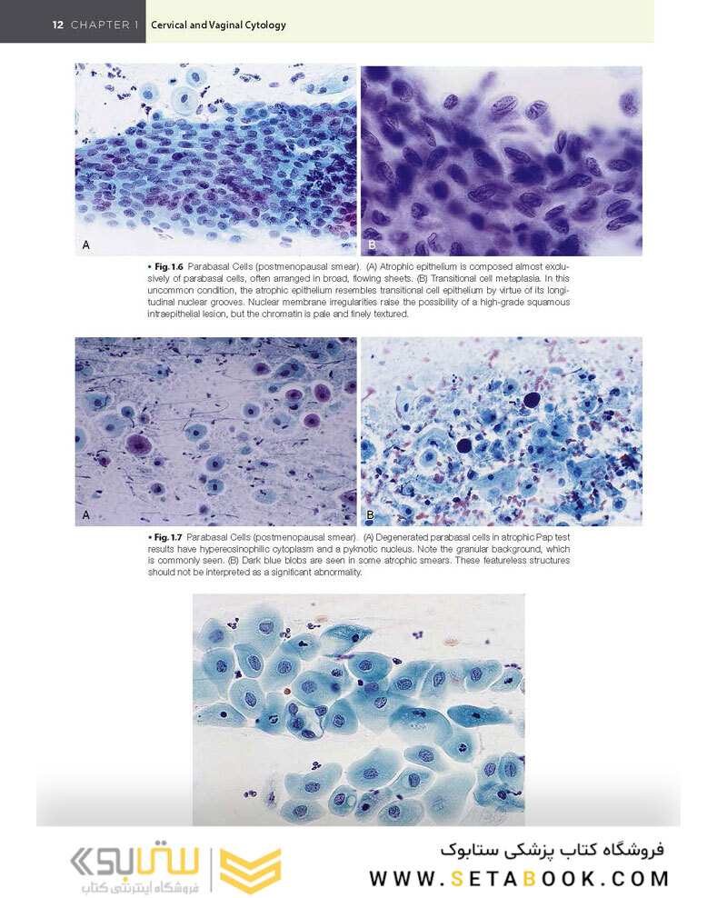 2021 Cytology: Diagnostic Principles and Clinical Correlates 5th Edition