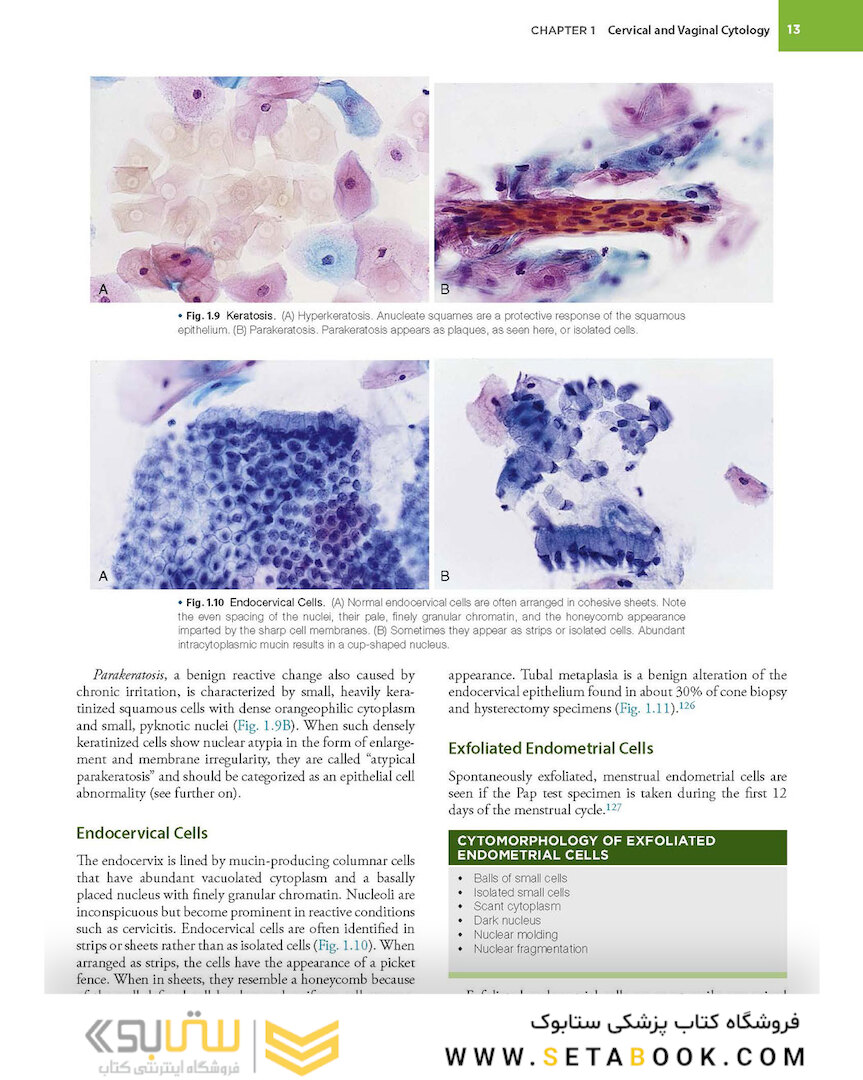 2021 Cytology: Diagnostic Principles and Clinical Correlates 5th Edition