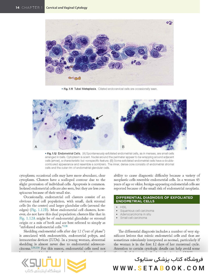 2021 Cytology: Diagnostic Principles and Clinical Correlates 5th Edition