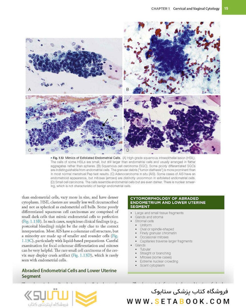 2021 Cytology: Diagnostic Principles and Clinical Correlates 5th Edition