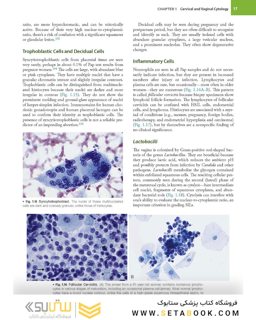 2021 Cytology: Diagnostic Principles and Clinical Correlates 5th Edition