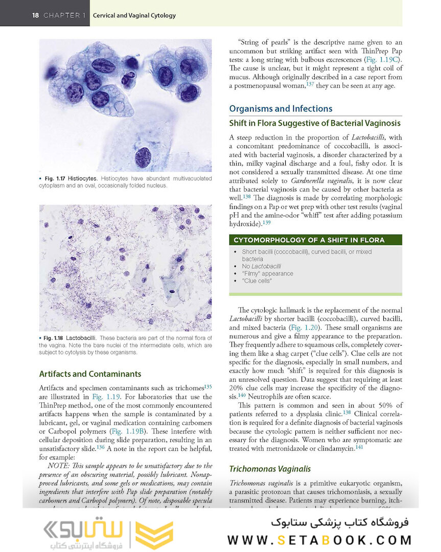 2021 Cytology: Diagnostic Principles and Clinical Correlates 5th Edition