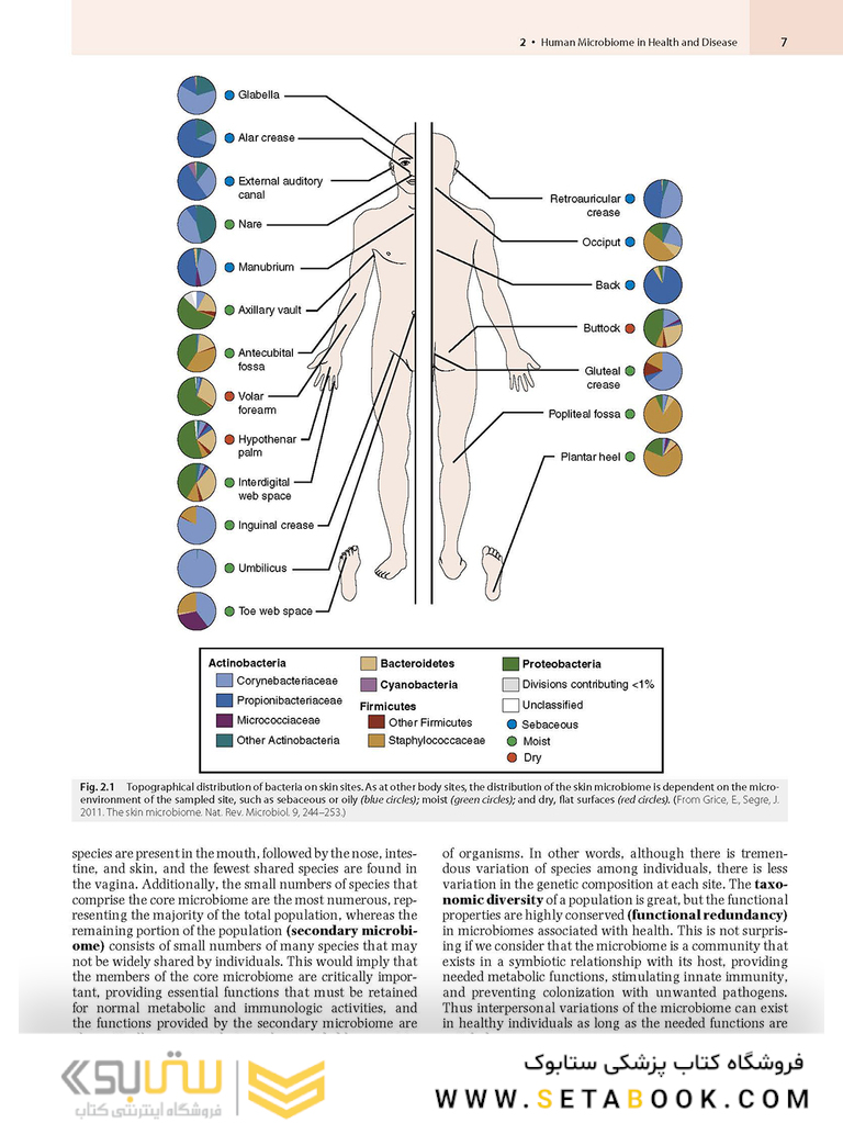 Medical Microbiology 9th Edition 2021