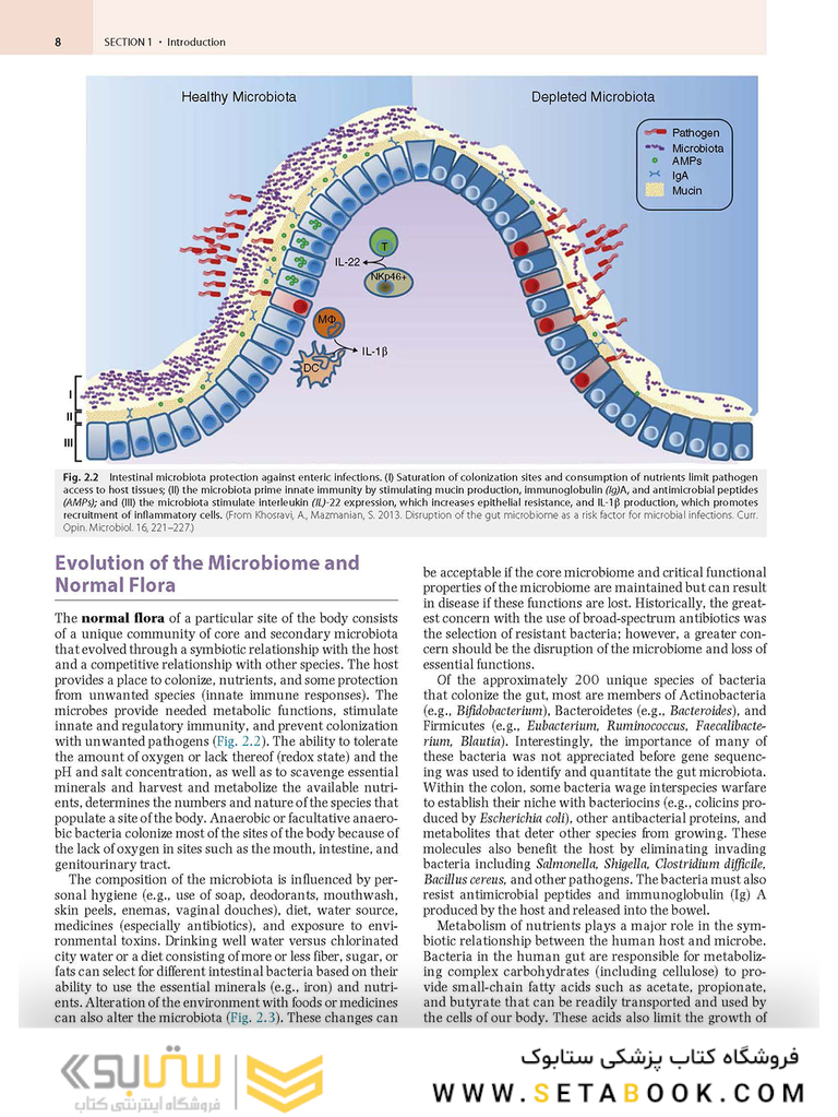 Medical Microbiology 9th Edition 2021