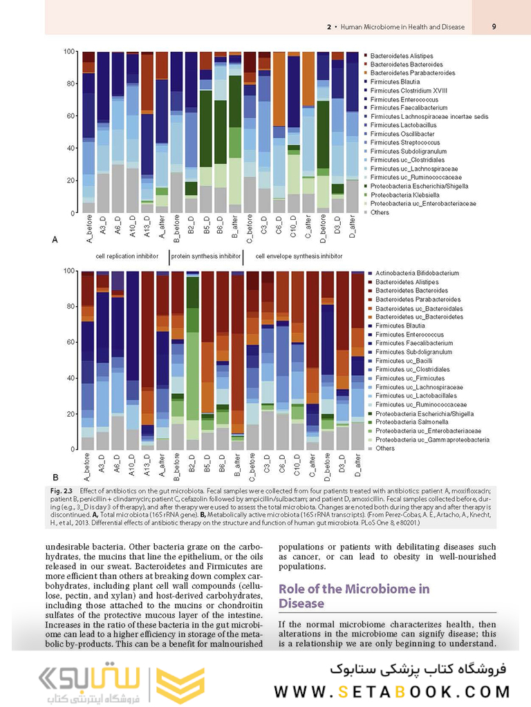 Medical Microbiology 9th Edition 2021