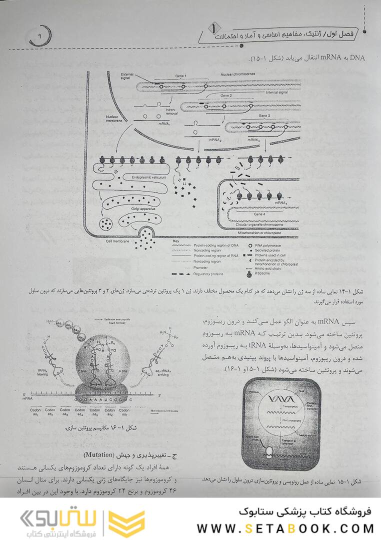 ژنتیک از کلاسیک تا ژنومیک