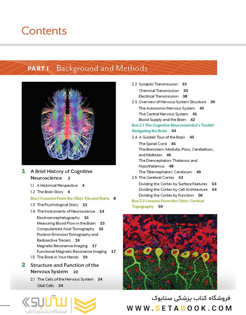 Cognitive Neuroscience: The Biology of the Mind (Fifth Edition) Fifth Edition
