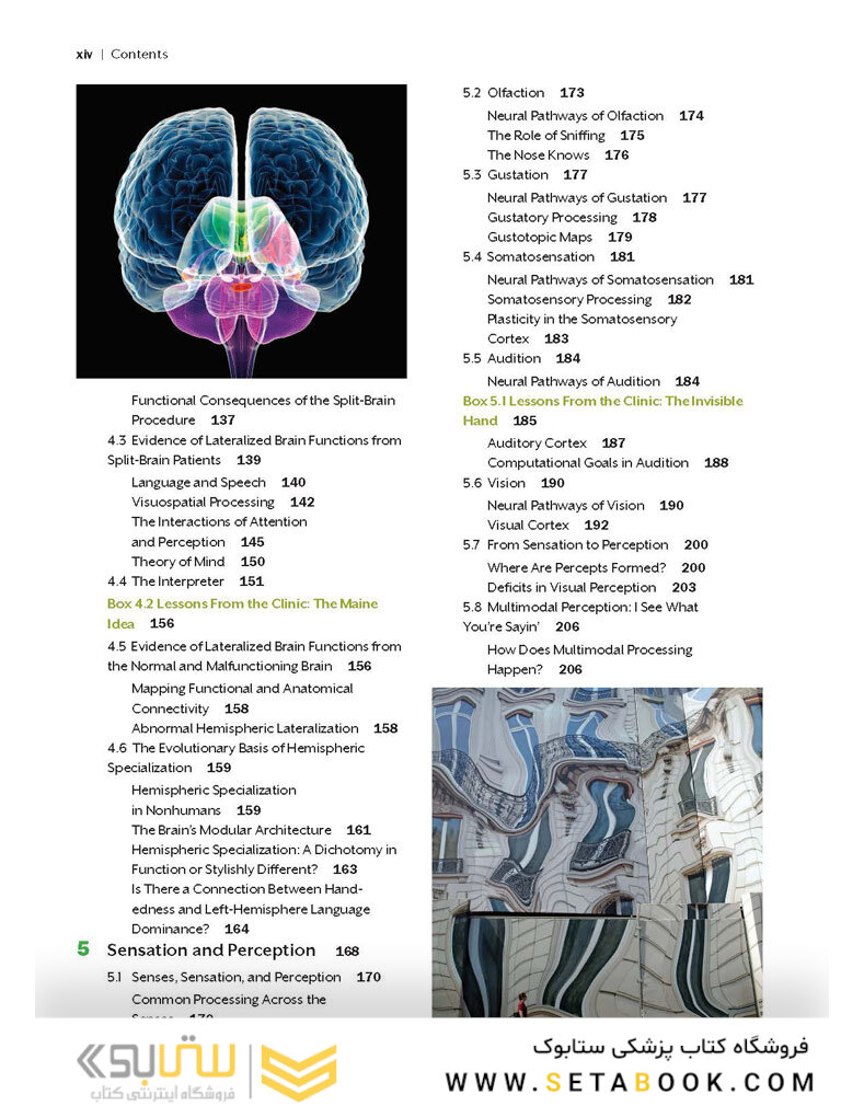 Cognitive Neuroscience: The Biology of the Mind (Fifth Edition) Fifth Edition