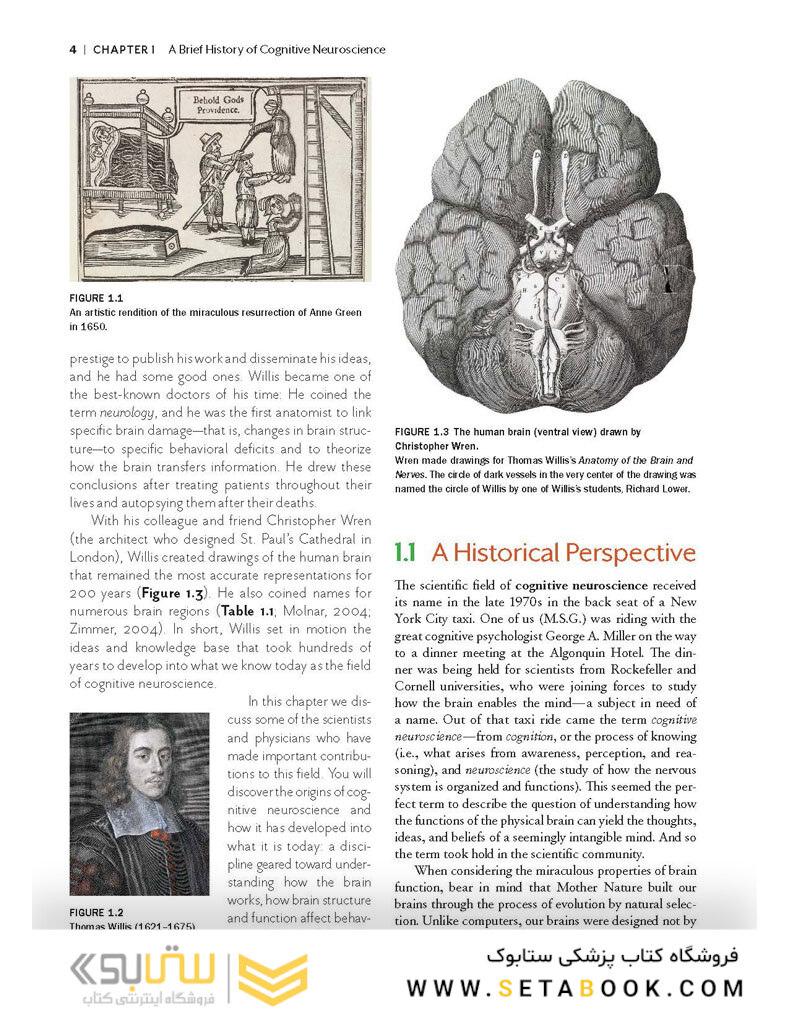 Cognitive Neuroscience: The Biology of the Mind (Fifth Edition) Fifth Edition