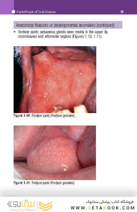 Pocketbook of Oral Disease 2012