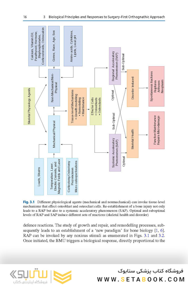 Surgery-First Orthodontic Management: A Clinical Guide to a New Treatment Approach 1st ed. 2019 Edition