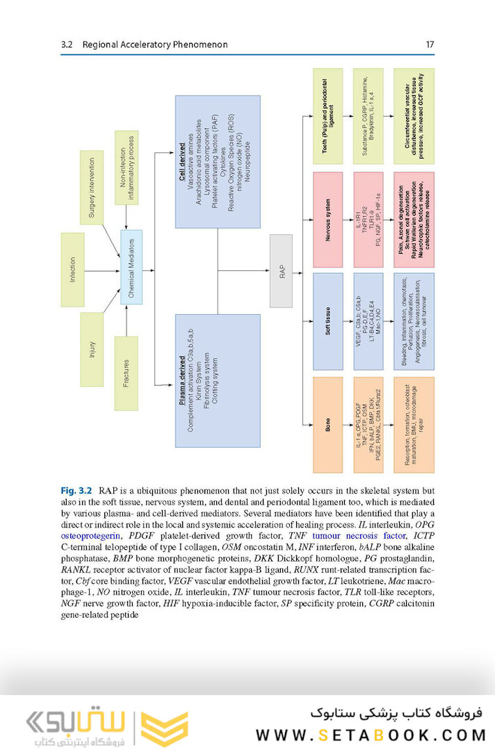Surgery-First Orthodontic Management: A Clinical Guide to a New Treatment Approach 1st ed. 2019 Edition