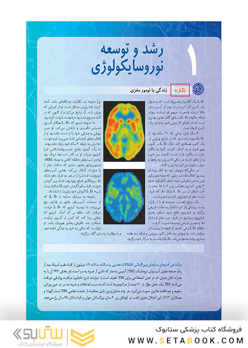 مبانی نوروسایکولوژی انسان جلد 1