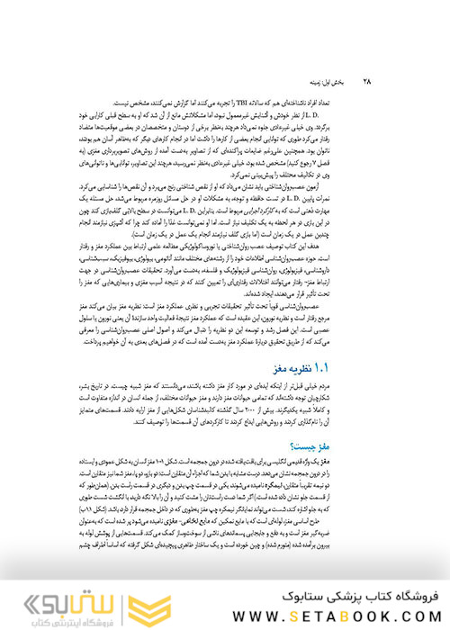 مبانی نوروسایکولوژی انسان جلد 1