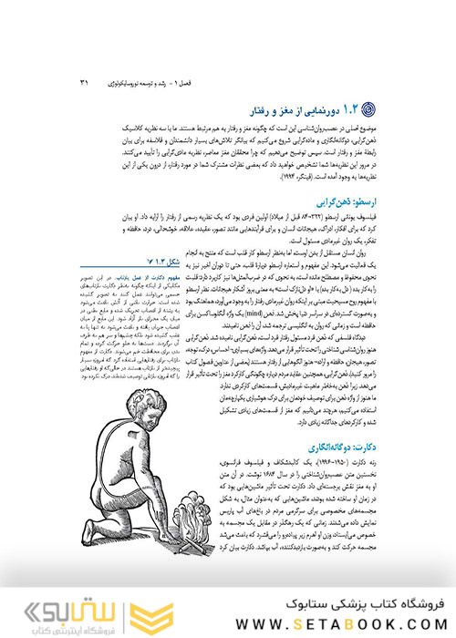 مبانی نوروسایکولوژی انسان جلد 1