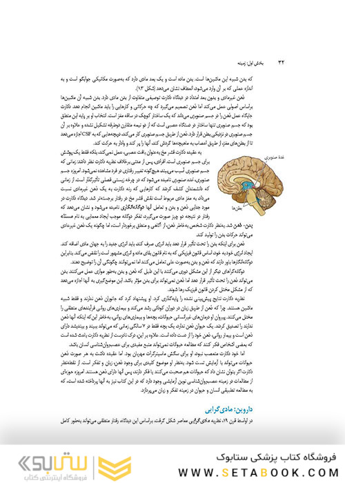 مبانی نوروسایکولوژی انسان جلد 1